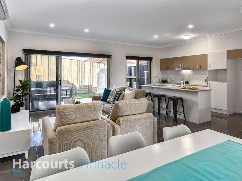 10 Wynford Street, Aspley QLD 4034