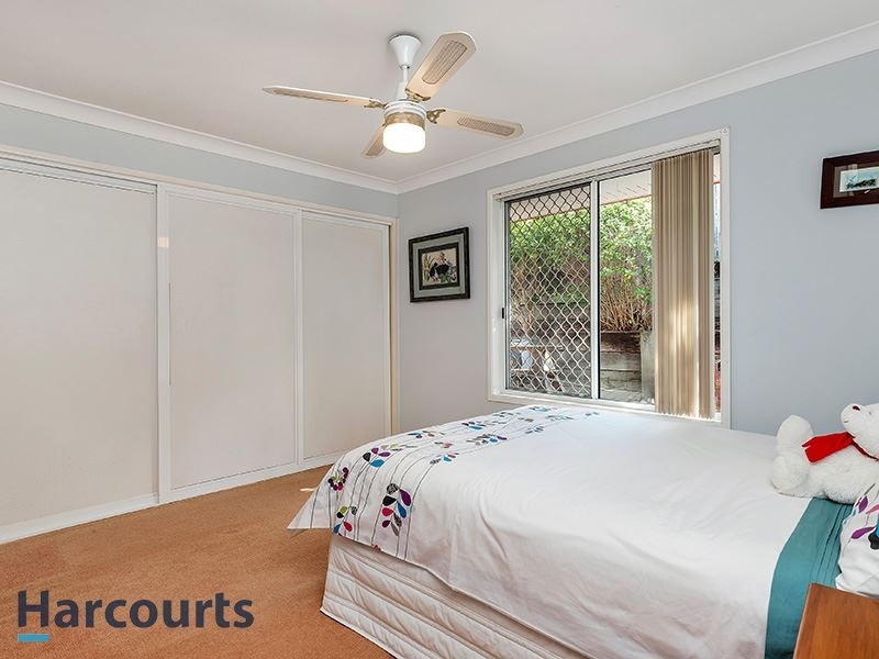 3 Loire Ave, Petrie QLD 4502