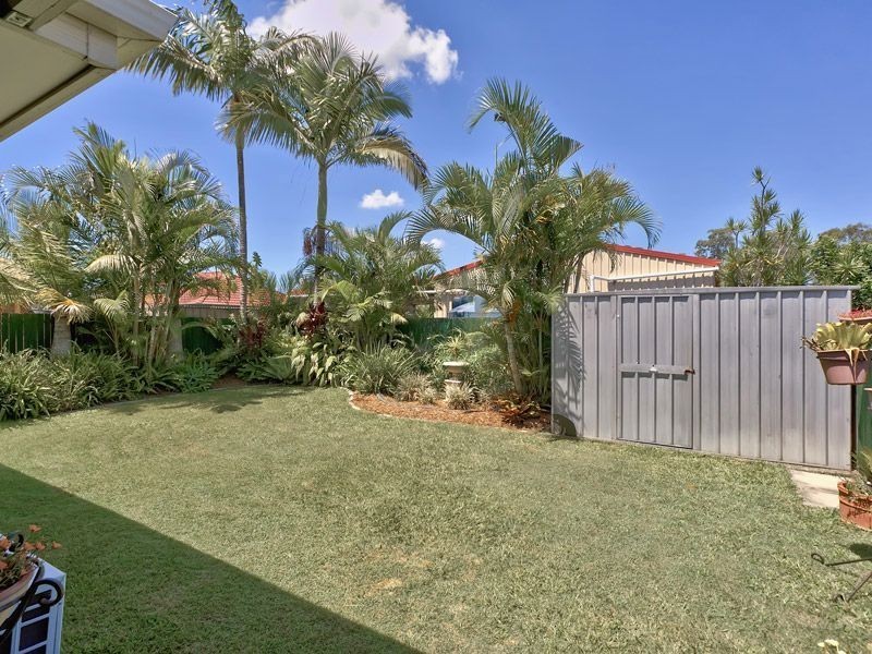 19 Manitoba Place, Wavell Heights QLD 4012