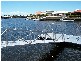 Bribie Island QLD 4507