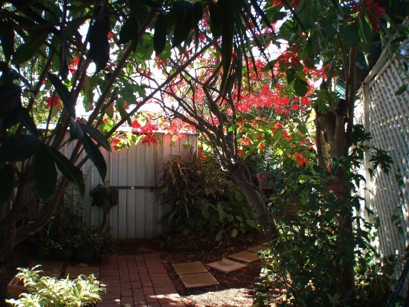 Bellara QLD 4507