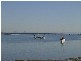 Bongaree QLD 4507