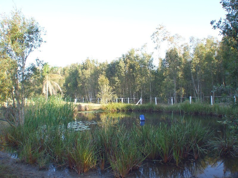 Ningi QLD 4511