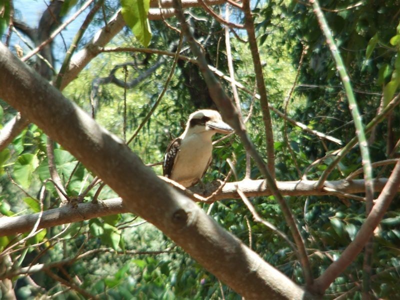 28 Ardel Place, Sandstone Point QLD 4511