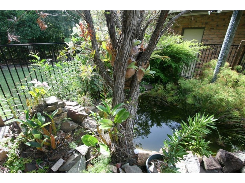 Bongaree QLD 4507