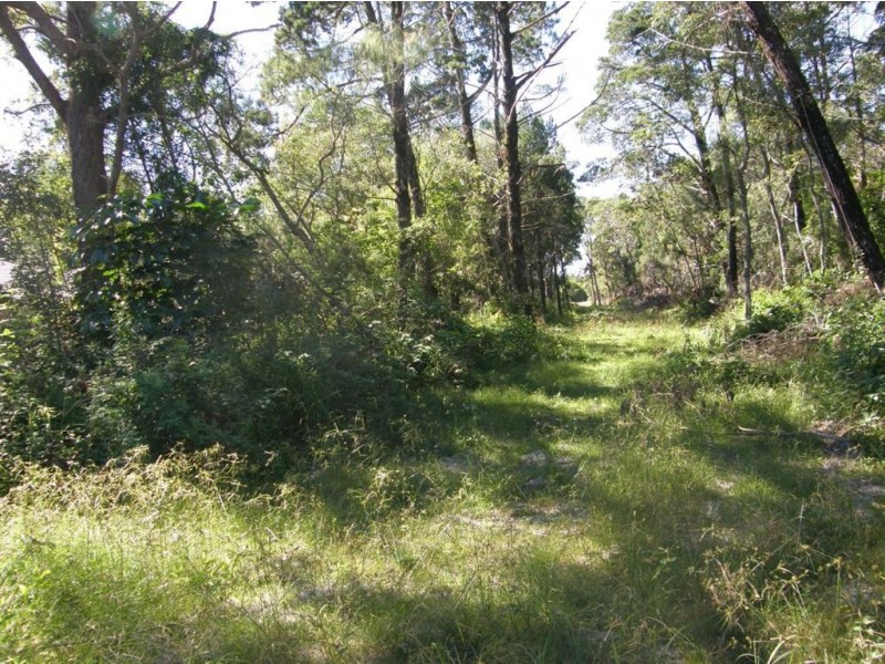 White Patch QLD 4507