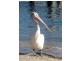 7/23 Sylvan Beach Esplanade, Bellara QLD 4507