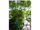 14 Paradise Pde, Bongaree QLD 4507