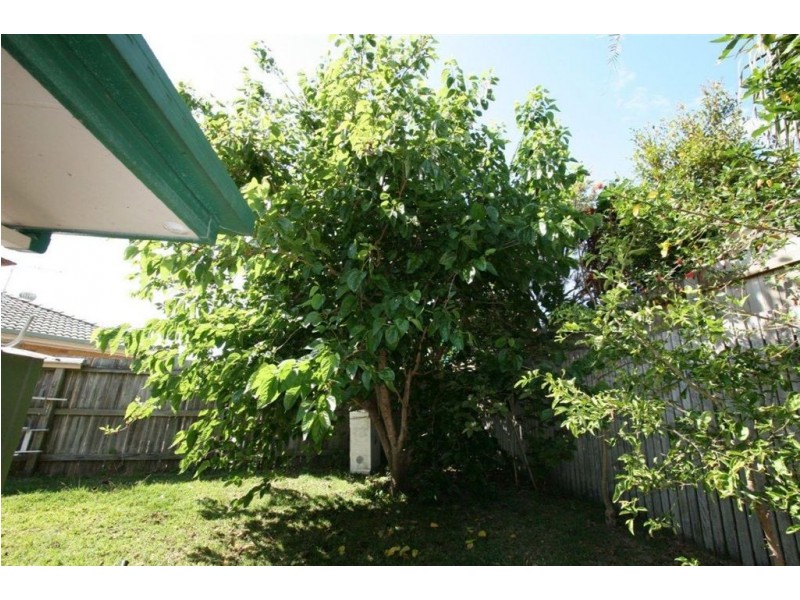 7 Tuna Court, Sandstone Point QLD 4511