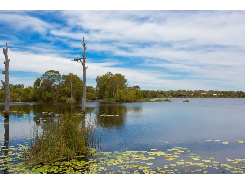 9 Treefrog street, Ningi QLD 4511