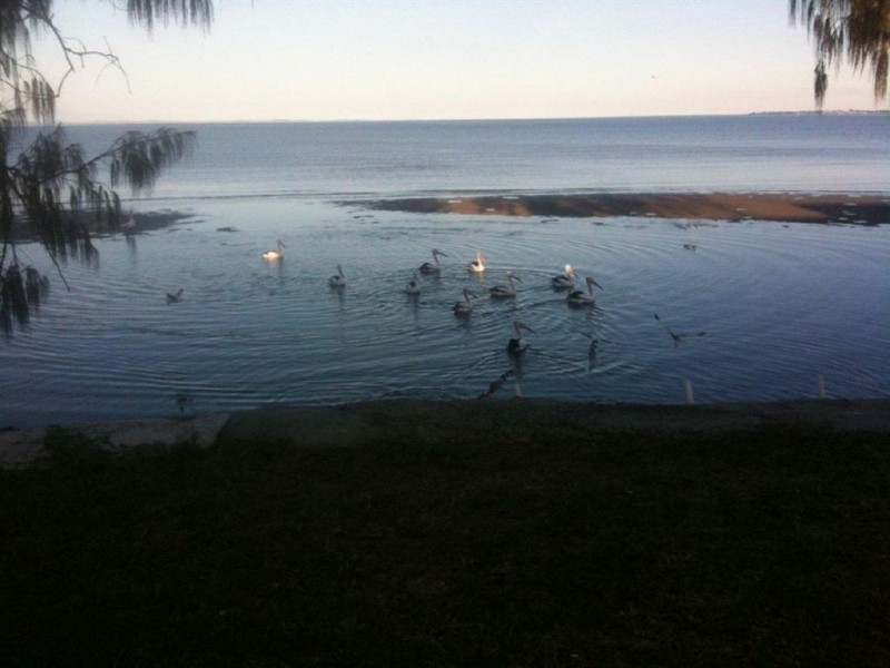 113 Biggs Ave, Beachmere QLD 4510