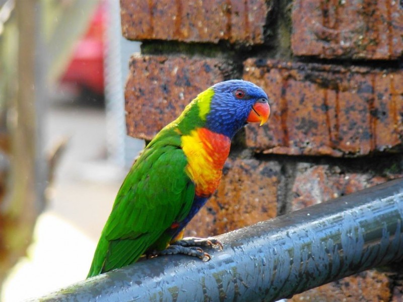 13/97 Sylvan Beach Esp, Bellara QLD 4507