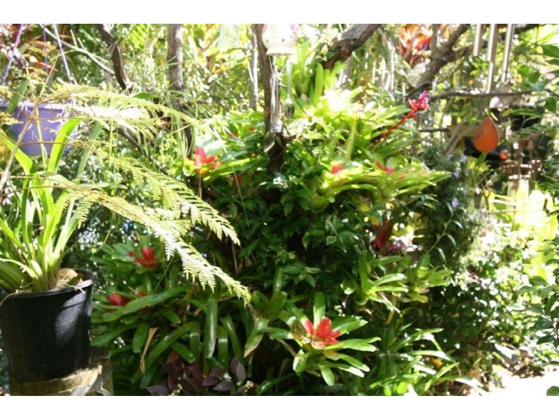 4 Trimaran Court, Banksia Beach QLD 4507