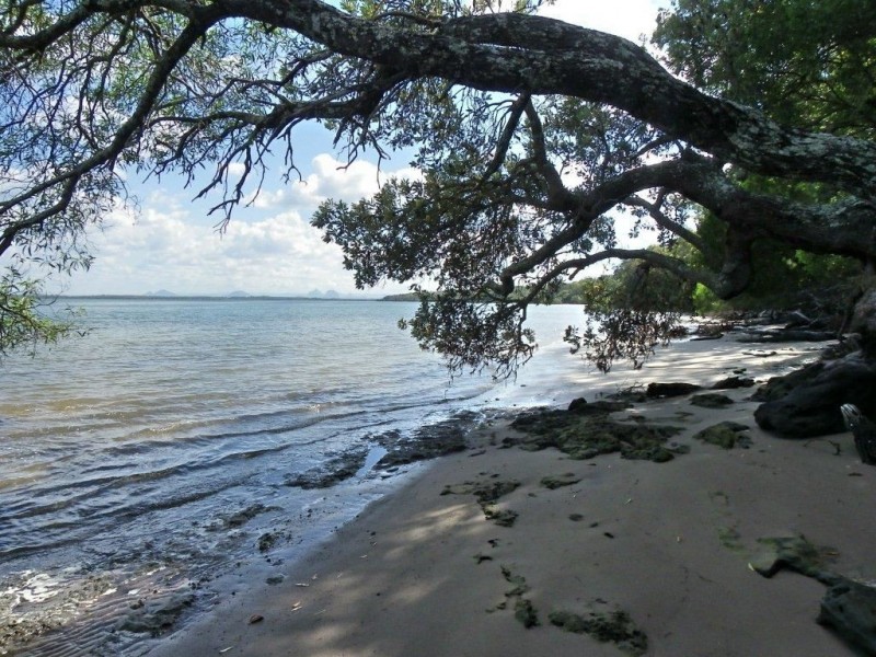 118 White Patch Esp, White Patch QLD 4507