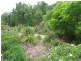 11 Pristine Pl, Ningi QLD 4511