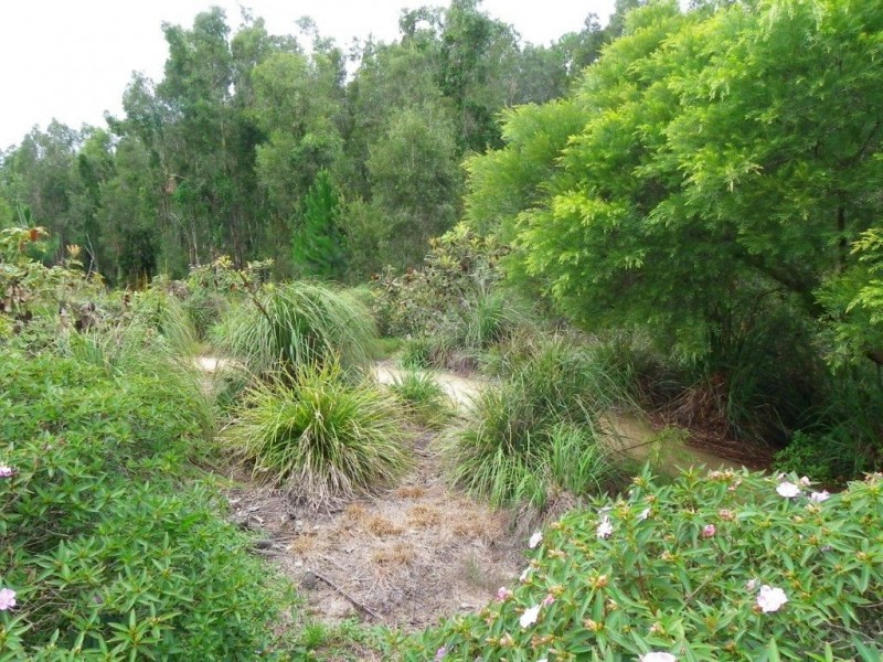11 Pristine Pl, Ningi QLD 4511