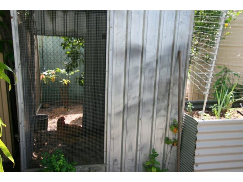 61 Spowers St, Bongaree QLD 4507