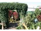77 Jasmin Drive, Bongaree QLD 4507