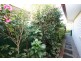 77 Jasmin Drive, Bongaree QLD 4507