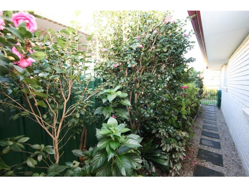 77 Jasmin Drive, Bongaree QLD 4507