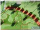 23/5 Links Ct, Woorim QLD 4507