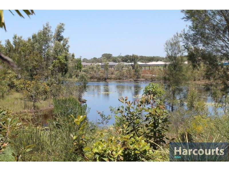 9 Treefrog St, Ningi QLD 4511