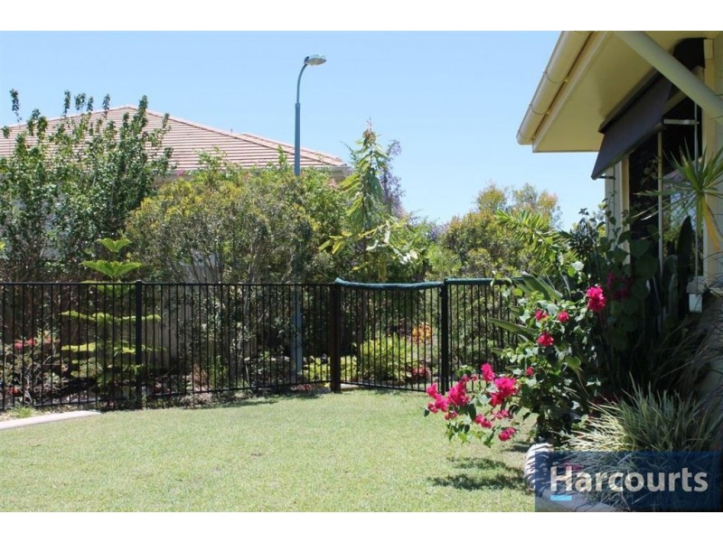 9 Treefrog St, Ningi QLD 4511