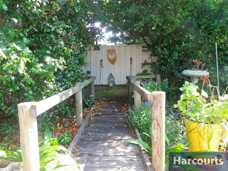 17 Orchid St, Bellara QLD 4507