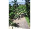 58 O’Connell Parade, Wellington Point QLD 4160