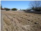 580 Main road, Wellington Point QLD 4160