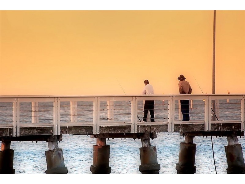 17 Burwana Place, Wellington Point QLD 4160