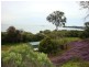86 Douro Road, Wellington Point QLD 4160