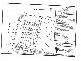 16 (Lot61) Beaumont Cres, Bellbird Park QLD 4300