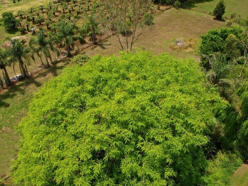 16 Lower Albert Street, Goodna QLD 4300