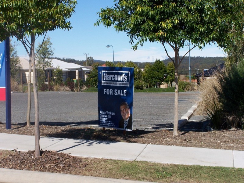 166 Alawoona Street, Redbank Plains QLD 4301