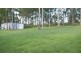 166 Cedar Road, Redbank Plains QLD 4301