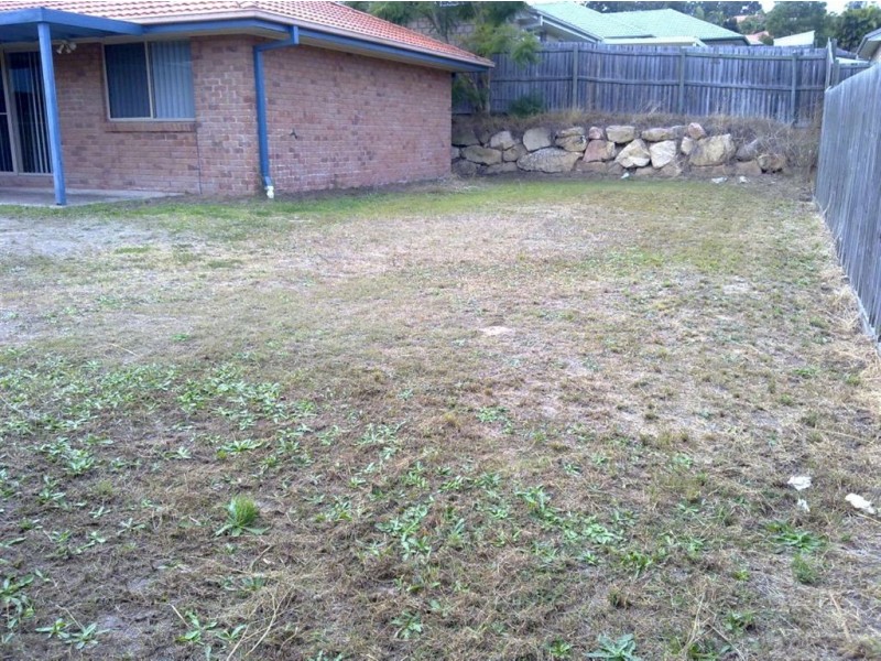 3 Heron Close, Springfield QLD 4300