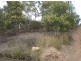 Brookwater QLD 4300