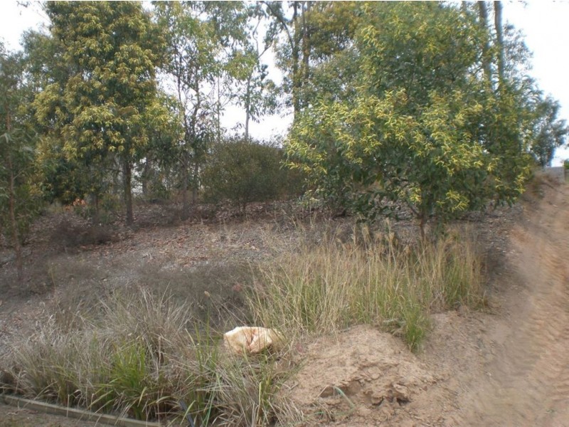 Brookwater QLD 4300