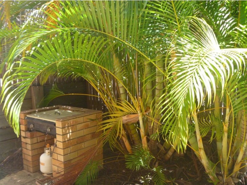 Collingwood Park QLD 4301