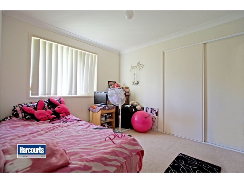 Springfield QLD 4300