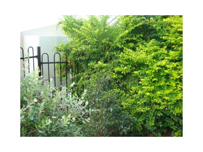 2/47 Jones Road, Carina Heights QLD 4152