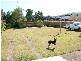 21 Yuletide Street, Holland Park West QLD 4121