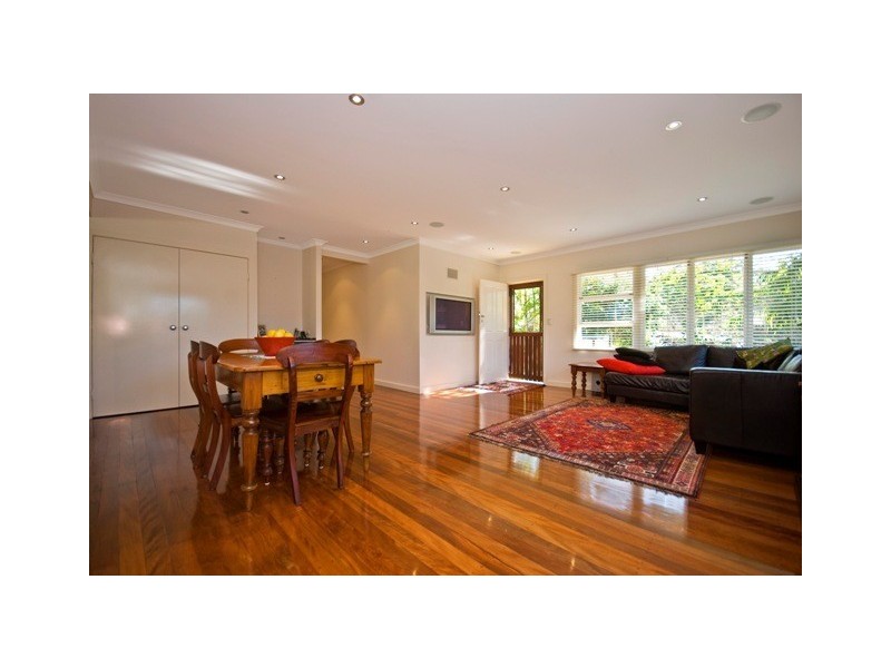 51 Park Street, Coorparoo QLD 4151