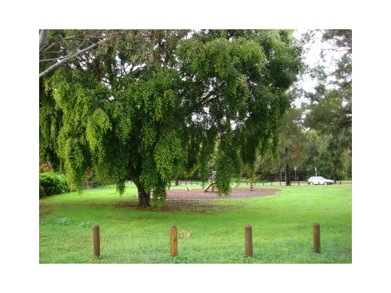 84 Norman Street, East Brisbane QLD 4169