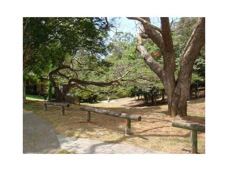 38 Park Street, Coorparoo QLD 4151