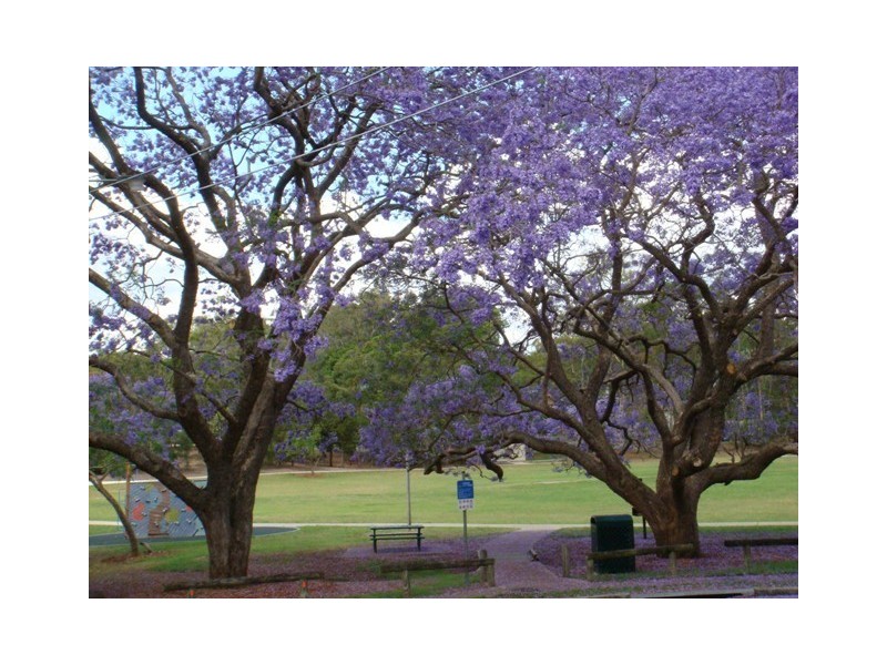 60 Park Street, Coorparoo QLD 4151