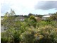 1 Aemilia Avenue, Seven Hills QLD 4170