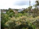 1 Aemilia Avenue, Seven Hills QLD 4170