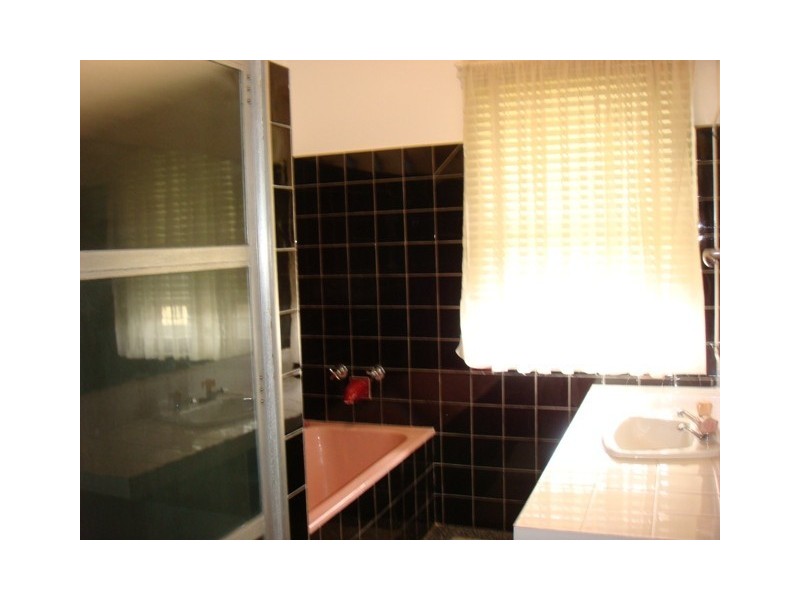 36 Balcha Street, Holland Park QLD 4121